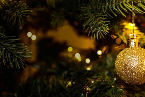 Weihnachtsbaumverkauf startet in Alt Daber