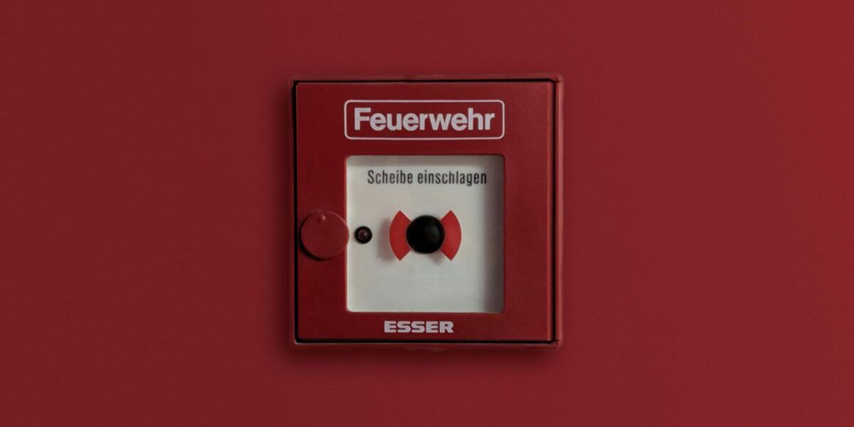 pexels davidgierth 3958649