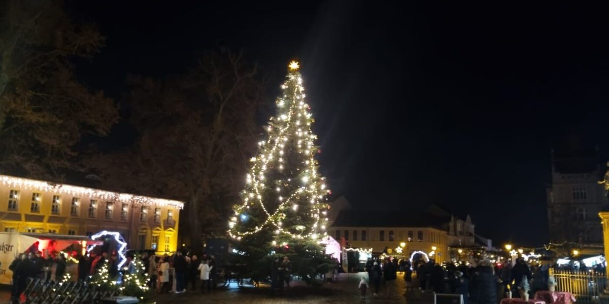 WhatsApp Image 2025 11 30 at 19 58 50