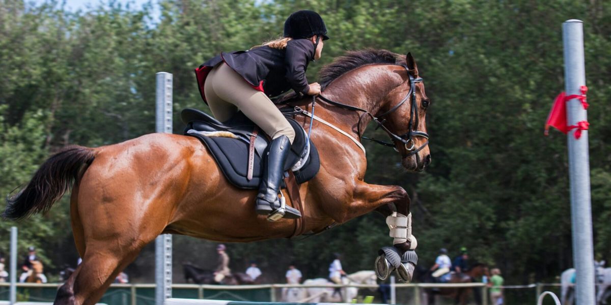 Springreiten Wittstock