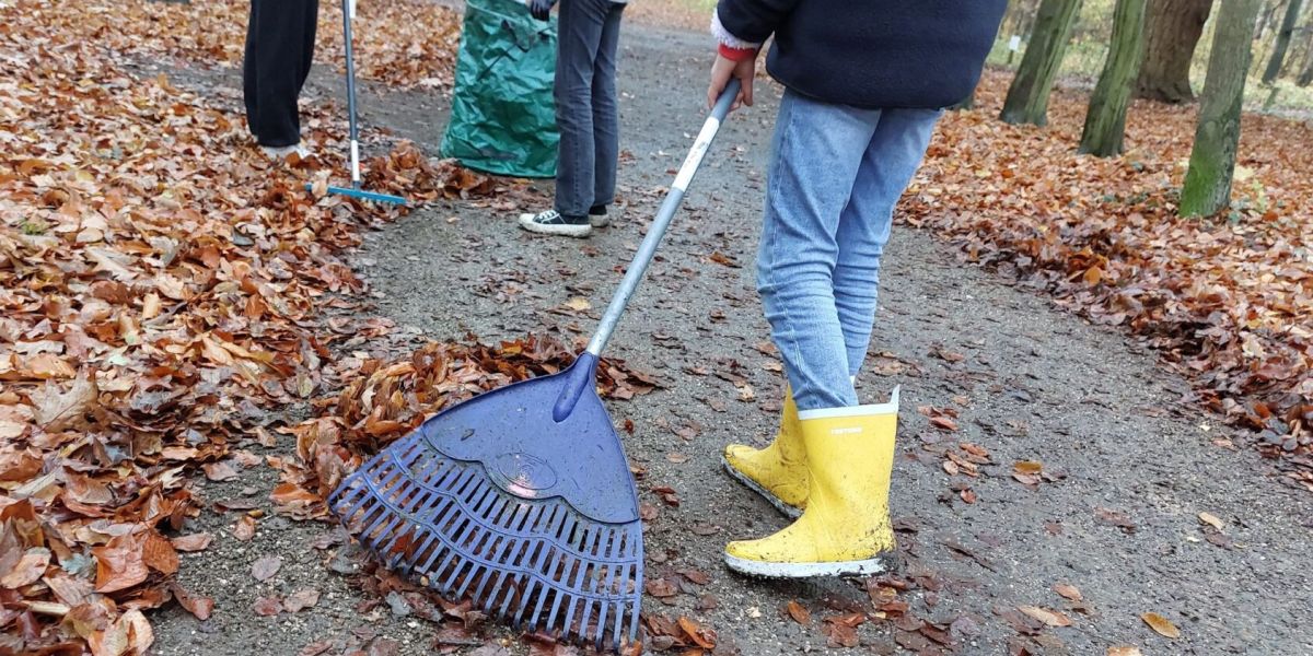 Schülereinsatz im Stadtpark