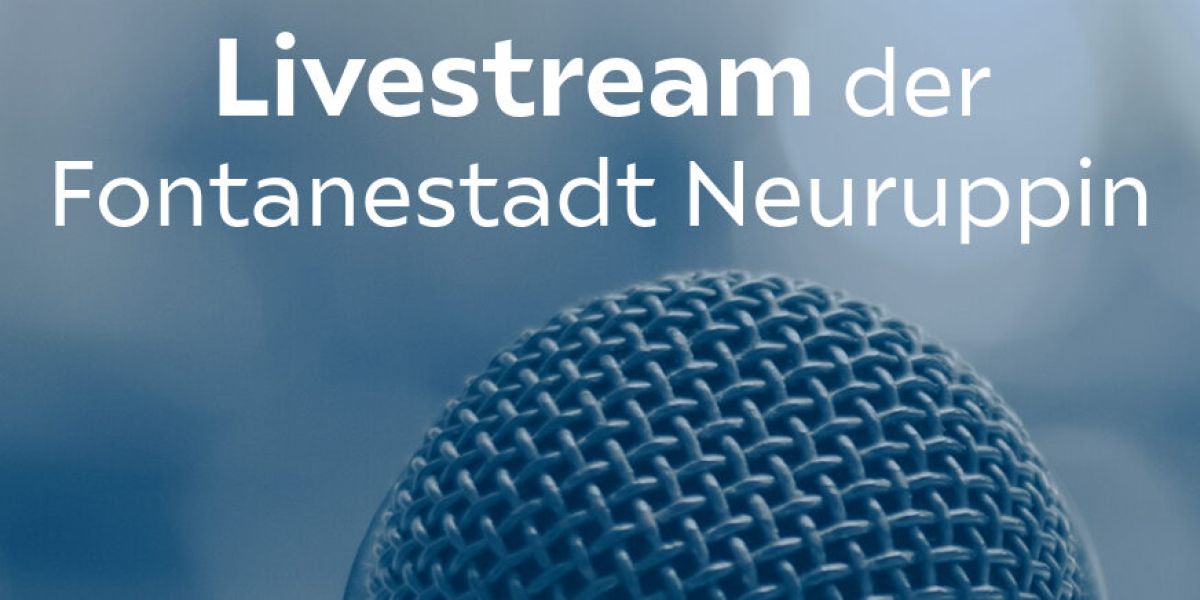 liveuebertragung haupt und finanzausschuss am 17112025