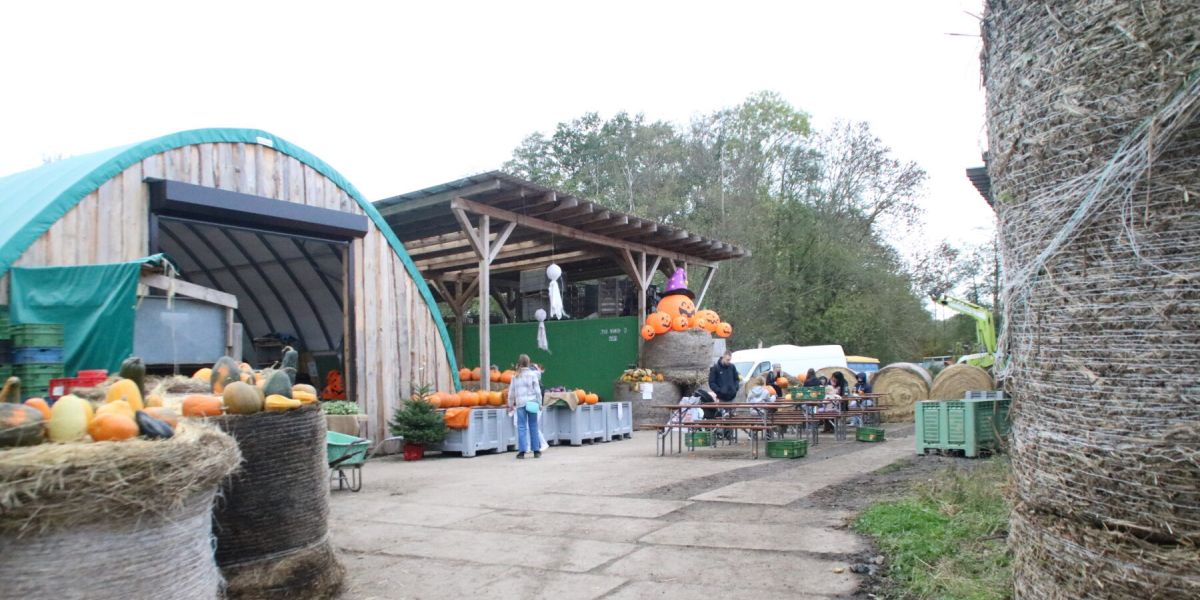 Kürbisfest Temnitzhof Walsleben