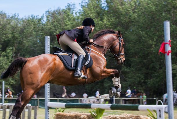 Springreiten Wittstock