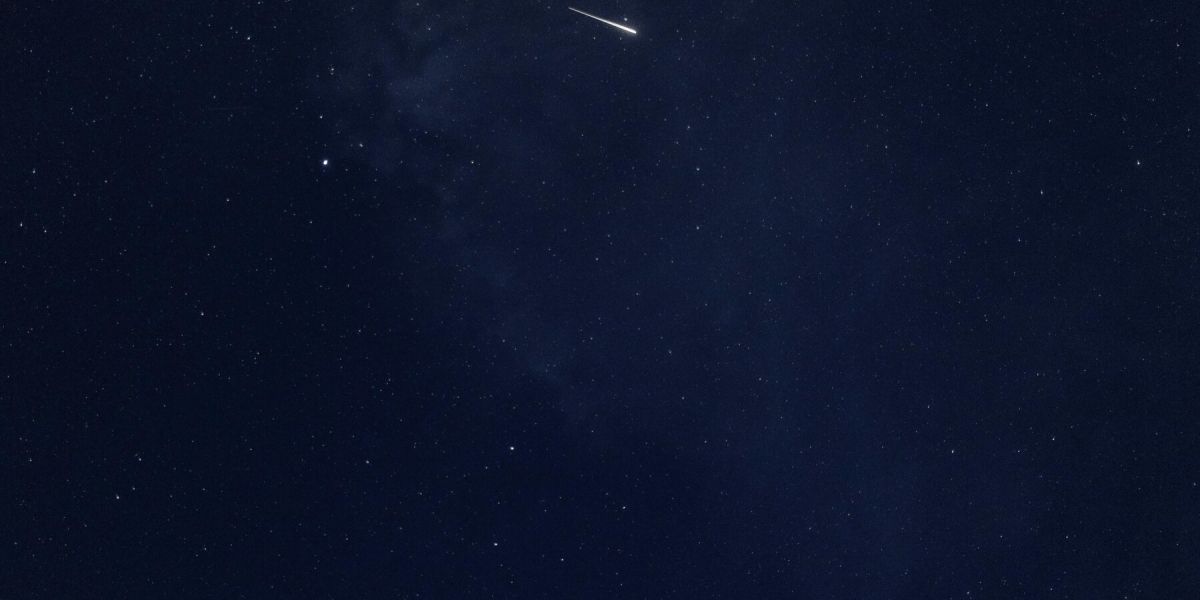 pexels eusebiu soica 28383975