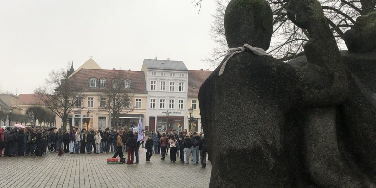 IN demo gegen wehrpflicht 1