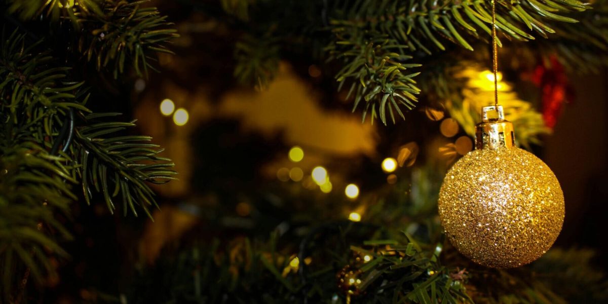 Weihnachtsbaumverkauf startet in Alt Daber