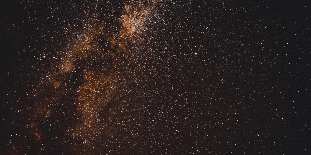 Naturführung unterm Sternenhimmel