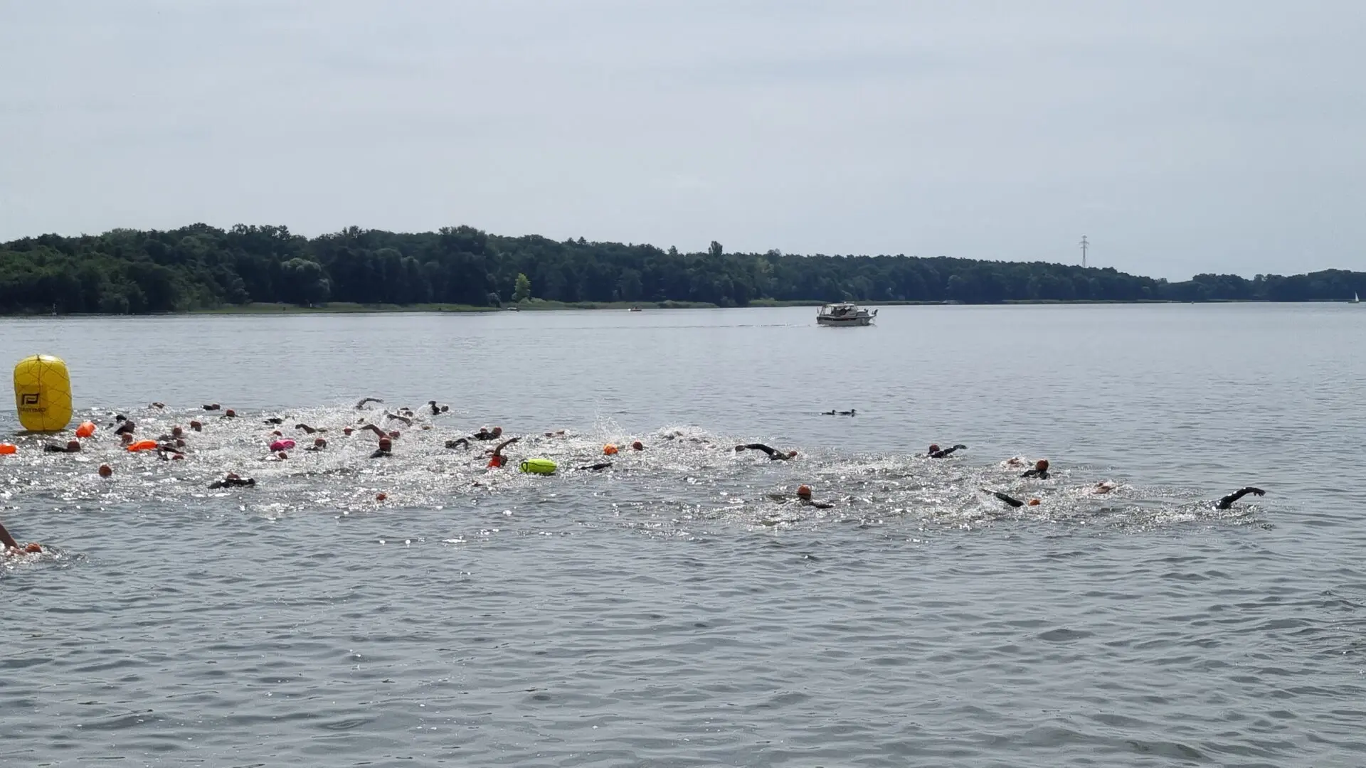 Langstreckenschwimmen Ruppin Langstreckenschwimmen Ruppin