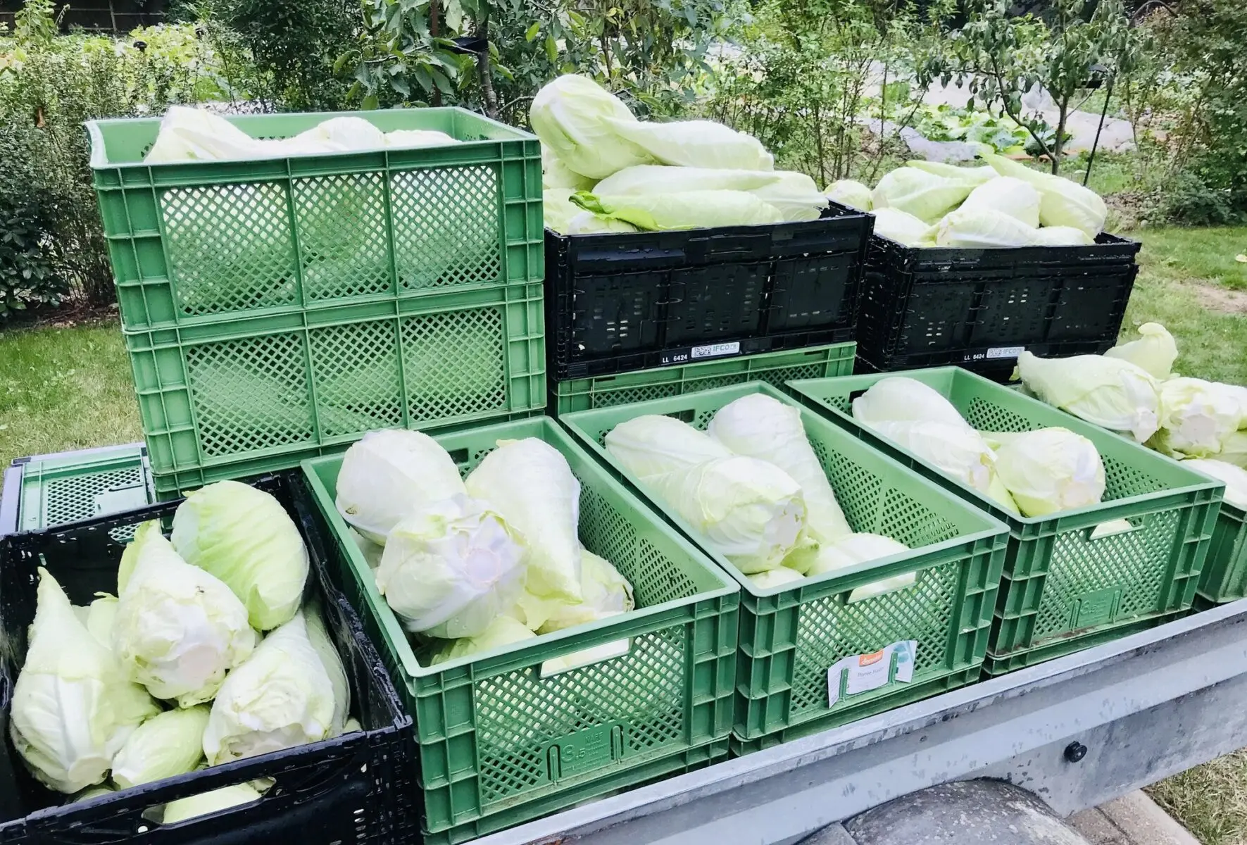 542732475 24660166186983752 2927066867254084922 n 542732475 24660166186983752 2927066867254084922 n