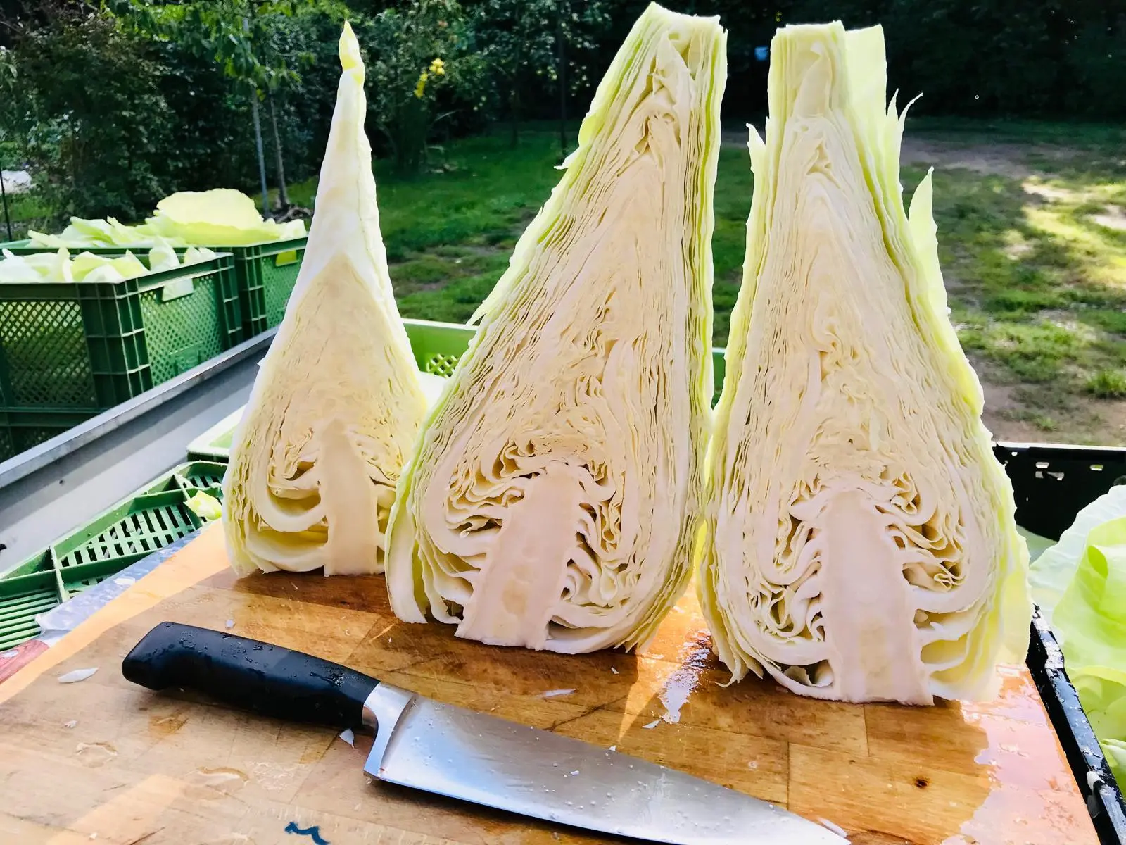 WhatsApp Image 2025 09 30 at 19 11 33 WhatsApp Image 2025 09 30 at 19 11 33