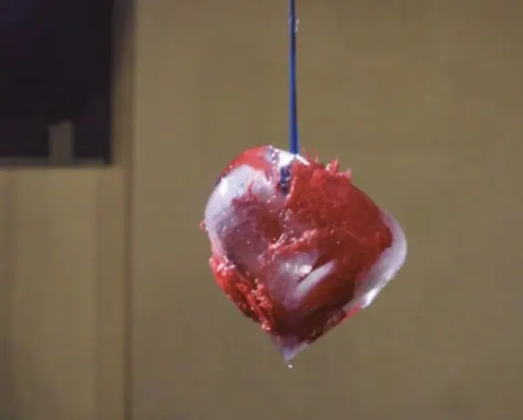 IN somosphera 2 IN somosphera 2