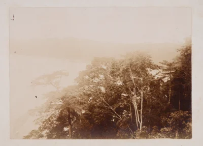 schwarzes gold kaffee und ein schuss geschichte