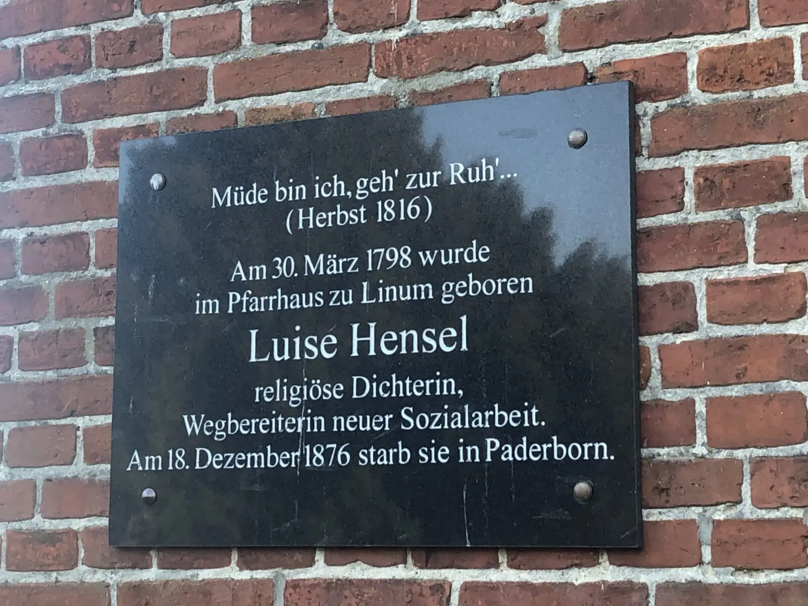 IN hensel C IN hensel C