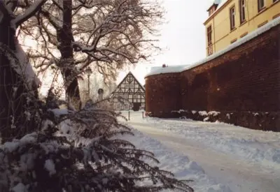 neujahrsspaziergang mit dem buergermeister