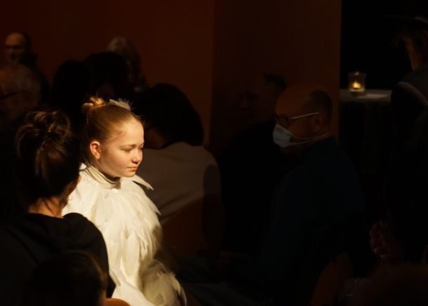 Soll sie als Gans zu Weihnachten echt geopfert werden?